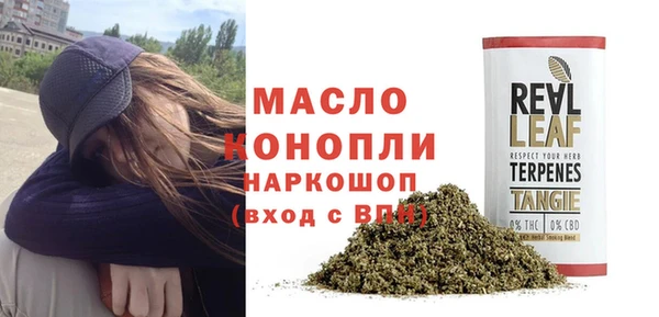 ECSTASY Костерёво