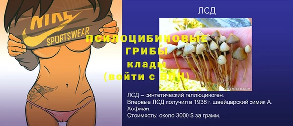 ECSTASY Костерёво