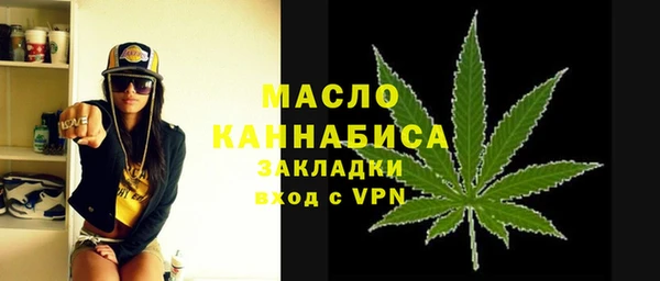 сатива Козловка