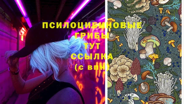 Альфа ПВП Коряжма