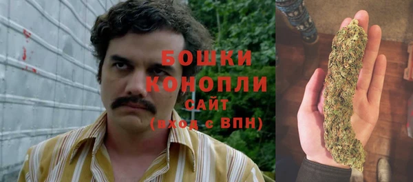 Альфа ПВП Коряжма