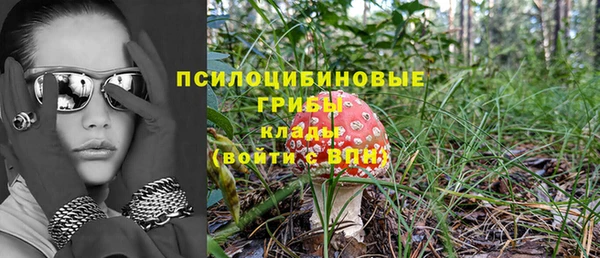 Альфа ПВП Коряжма