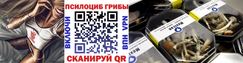 Псилоцибиновые грибы Psilocybine cubensis  купить закладку  Клинцы 